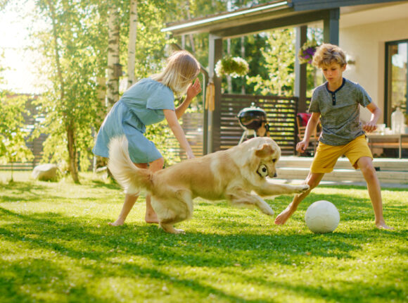 Two,kids,have,fun,with,their,handsome,golden,retriever,dog